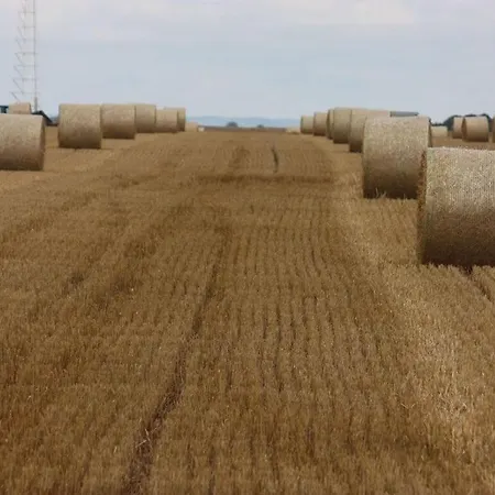 דירה Poggenhof West Requits